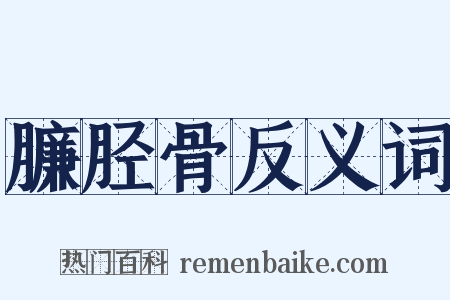 臁胫骨反义词是什么意思的图片